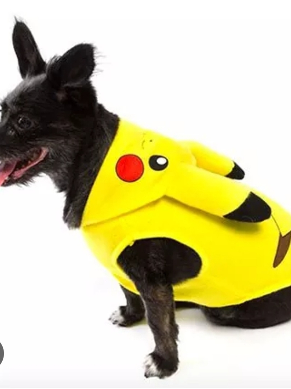 Pokemon Pikachu Yellow Dog Costume